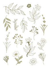 Floral Hand Drawn Set. Flower, Leaf, Branch Element Collection. Botanical Vector Line Art Isolated on White Background for Wedding Invitation and Eco Friendly Branding Design. Not AI © Ludmila