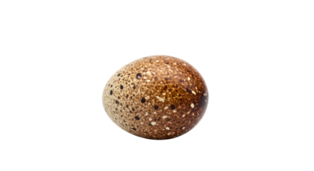Speckled brown and white bird egg isolated on black background image, Isolated On Png Transparent Background
