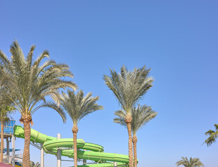 An outdoor water park with palm trees and blue sky, Egypt.