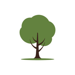 A simple illustration of a green deciduous tree on a white background.