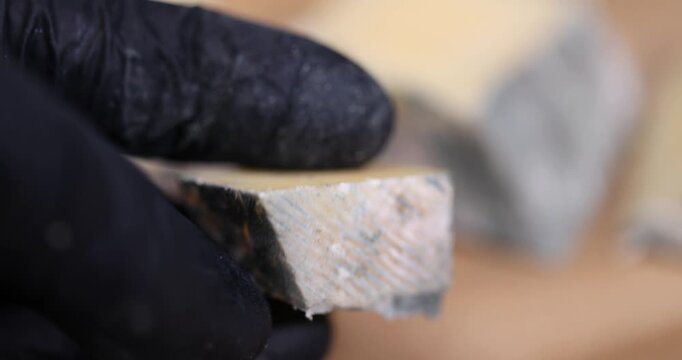 an old spoiled orange cheese with a lot of mold, an inedible and dangerous cheese that was spoiled during the improper storage, the cheese is covered with mold dangerous to health