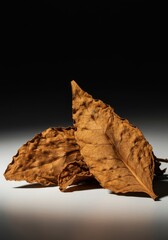 Fototapeta premium Three cured, dry tobacco leaves resting on a plain surface showing their brittle texture and rich brown color used for smoking products ,farming ,industry ,aging