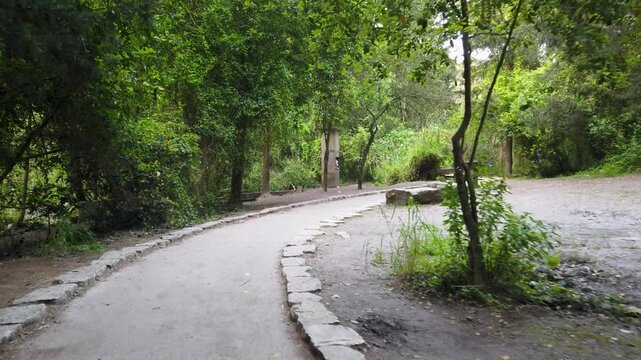 View of Nahal HaShofet in the Ramot Menashe Forest, part of the Carmel Range, Israel