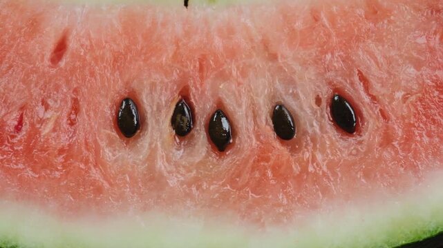 Watermelon seeds.