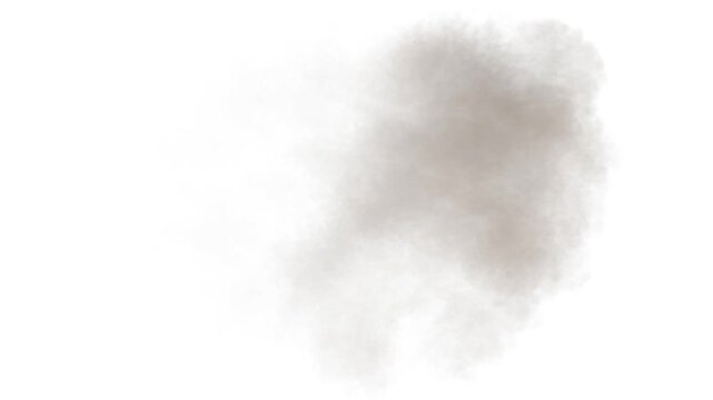 Dust Particle, Dust Explosion, Smoke Explosion Stock Footage Use White Background