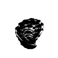 Obraz premium silhouette of a mussel