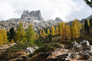 Mountain Lake - Lago di Limides Dolomites National Park Italy - Alpine landscape with mountains and lakes in autumn fall summer