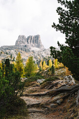 Mountain Lake - Lago di Limides Dolomites National Park Italy - Alpine landscape with mountains and lakes in autumn fall summer