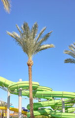 An outdoor water park with palm trees and blue sky, Egypt.