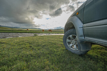An off-road vehicle is parked on a green meadow by a mountain stream. A medium shot of its left front tire's aggressive tread contrasts with a grazing herd of cows at sunset.