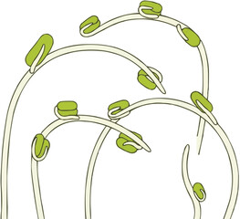 新鮮な緑豆もやしのイラスト、もやし野菜の成長ベクター、アジア風サラダの材料デザイン