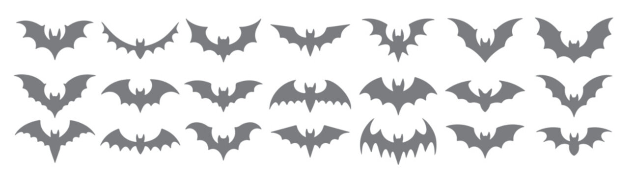 collection of gray bat silhouettes various sizes and shapes