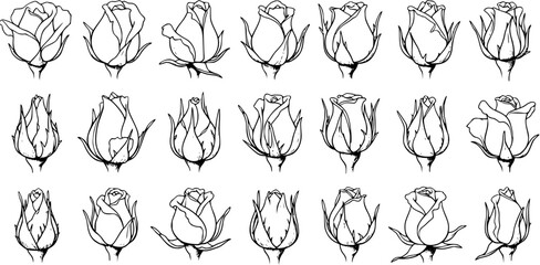 Black and White Line Art Collection of Rose Buds and Flowers © pixsource
