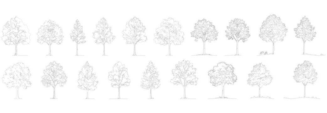 A large collection of 18 detailed black and white line art illustrations of various deciduous and coniferous trees, presented as silhouettes for architectural plan elevation and landscape design 