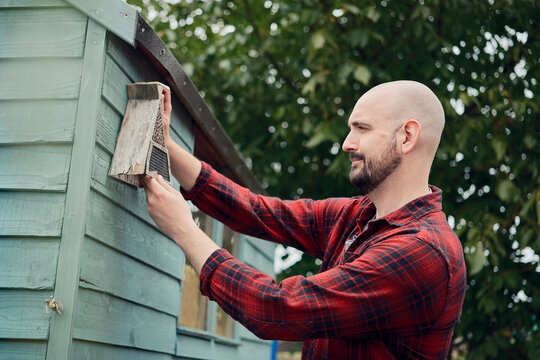 Person adjusting bug hotel on wooden garden shed in London allotment