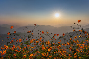 Beautiful natural landscape of Nepal 