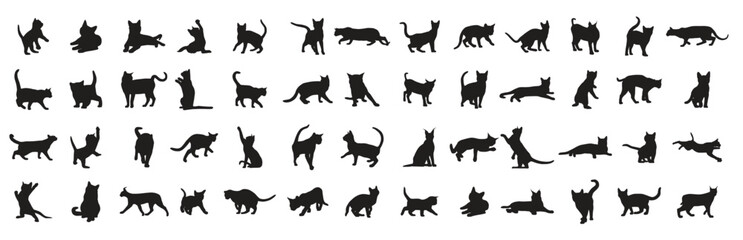 Set of cat vector illustration