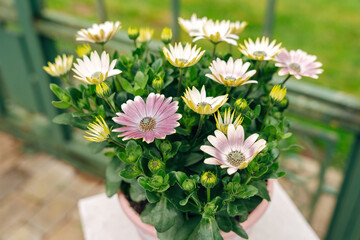 Stunning Wedding Floral Arrangements in Summer, Elegant Romantic Blossoms for a Marriage Ceremony...