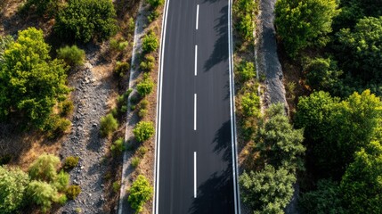 A road with a tree line on either side