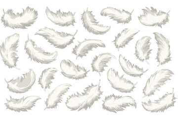 Fototapeta premium White feathers floating against a textured background