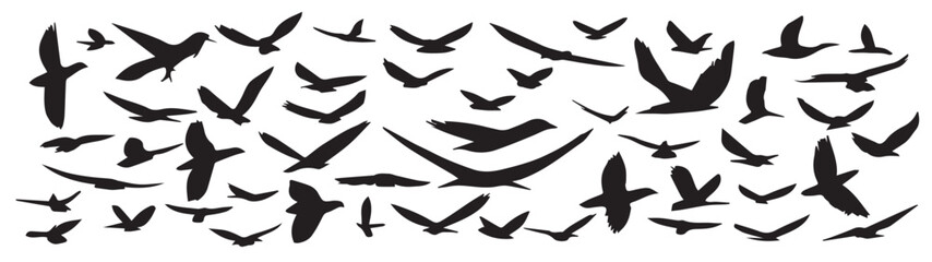 large collection of hand drawn flying birds silhouette set © Wooab