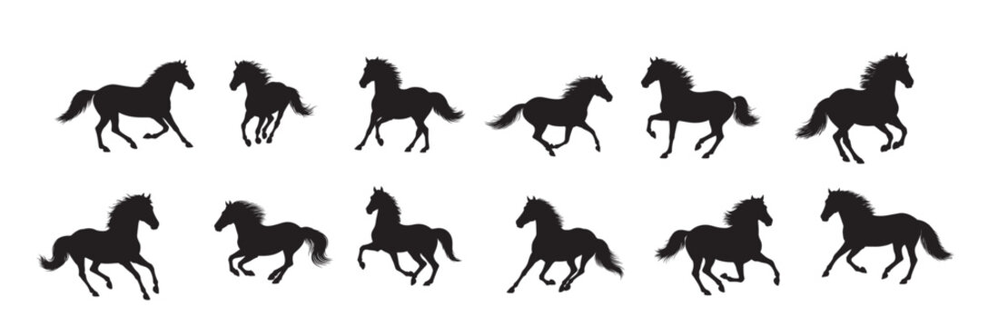 mustangs silhouette white background