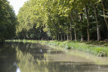 le canal du Midi en France