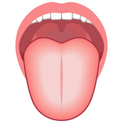 舌苔が白い　舌でわかる健康状態　舌診　舌の健康