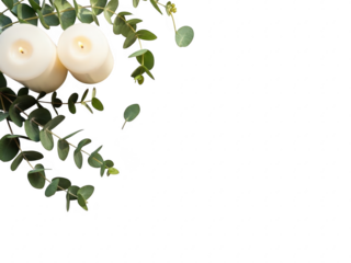 Eucalyptus leaves and white candles on a transparent background