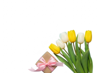 Tulips and gift box with pink ribbon isolated on transparent background