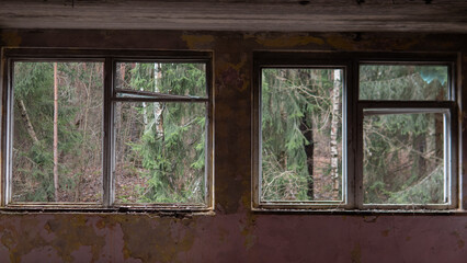Three windows in a building reveal a view of trees outside. The old walls display wear and peeling paint. Daylight filters through the glass, highlighting the view.