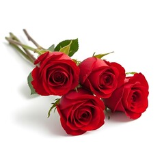 Obraz premium Illustration of a bouquet of four beautiful red roses isolated on white background