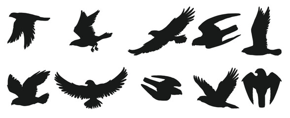 Obraz premium Eagles and hawks black silhouettes vector birds