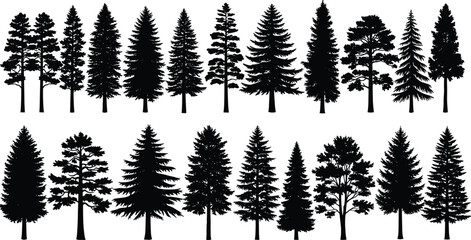 Collection of coniferous tree silhouettes, pine, spruce and fir trees, forest landscape elements, black vector illustration set. © MDMOHOBBAT