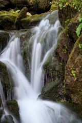 Fototapeta premium waterfall in the forest