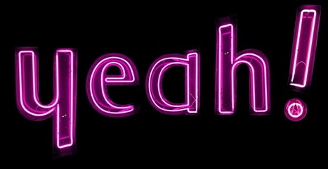 yeah! n&eacute;ons roses