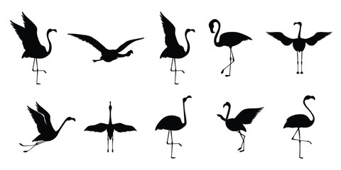  Flat flamingo silhouettes collection © nimbo