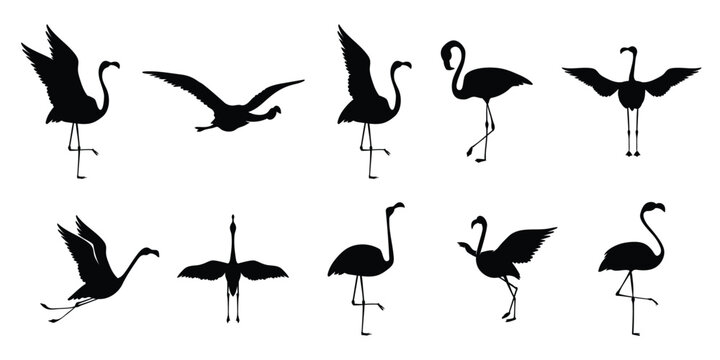  Flat flamingo silhouettes collection