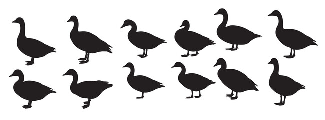 goose silhouette white background © nimbo