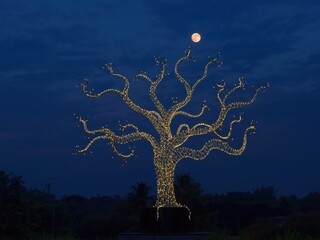 Illuminated tree under moonlit night