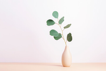 Eucalyptus branch in ceramic vase on beige table. Minimal home interior detail, still life. Copy space