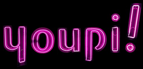 youpi! n&eacute;ons roses