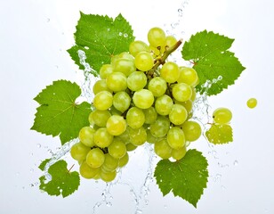 Fresh green grapes with leaves and water splash on white background