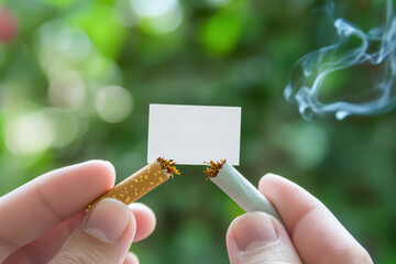 Two cigarettes with blank card held by a person against a green background