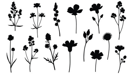 A collection of delicate floral outlines in black and white silhouette