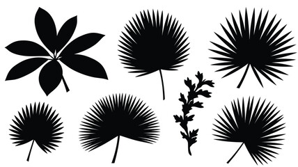 Collection of tropical leaves in striking black silhouette
