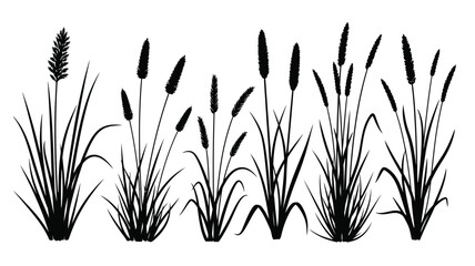 Detailed illustration of cattails and grasses in a dark striking silhouette