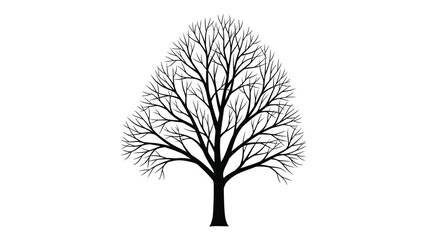 A detailed illustration of a bare tree against a white background silhouette