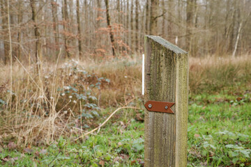 Hiking trail arrow sign indicating route direction and navigation along a forest walking path. Forest nature hike pathway with trees and foliage.