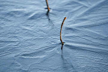 twig coming out of the ice in the meertjesven in waalre the netherlands